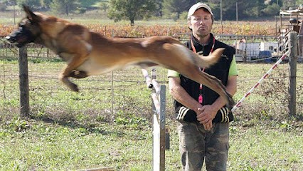 ALAN DOG 13, Eleveur de Chiens à Cuges-les-Pins