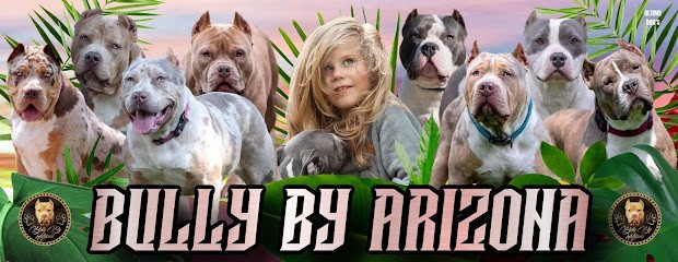 Bully by Arizona, Eleveur de Chiens à Saint-Quentin-le-Petit