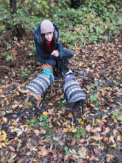 Canis Totem, Dresseur de Chiens à Montigny-le-Bretonneux