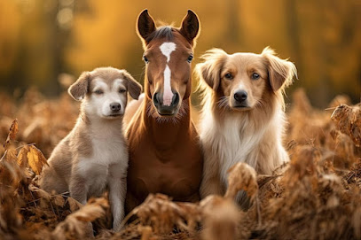 Coeurs À Pattes Dresseur De Chiens à Chavanod