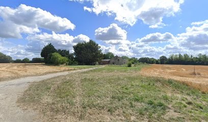 Le Domaine Des Woufs Pension Canine Féline NAC, Service à Domicile, éducation Canine, Activités Canines Et Sport Canin, Pension pour Chiens à Noyant-Villages