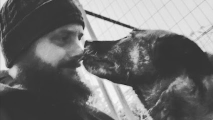 EARL Les Romarins, Pension pour Chiens à Graulhet