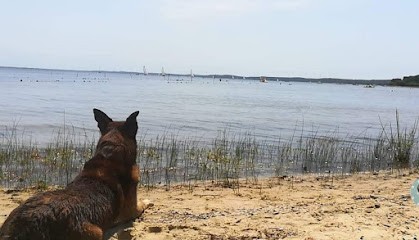 Top Dogs, Dresseur de Chiens à Léognan
