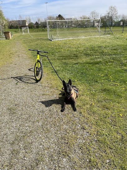 Cani'kiff 53, Dresseur De Chiens à Martigné-sur-Mayenne