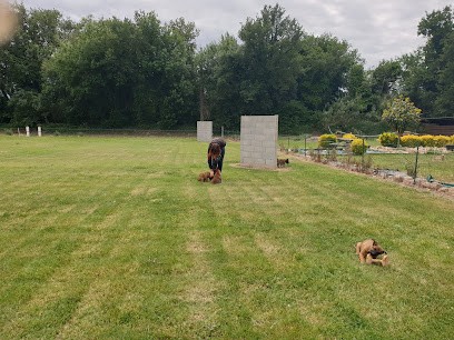 SPORT CANIN FORCA REAL, Dresseur de Chiens à Pézilla-la-Rivière
