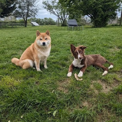 CaniD'Hélo 37/41 (pension familiale), Pension pour Chiens à Dame-Marie-les-Bois