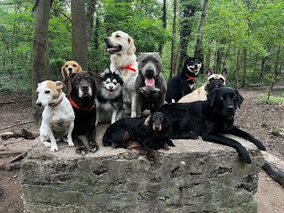 Education Canine Paris, Dresseur de Chiens à Paris 13