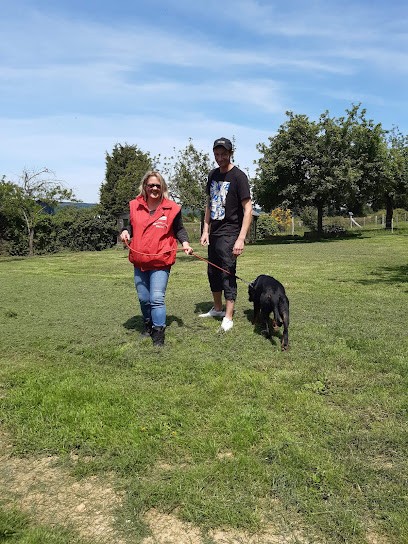 En Un Tour De Pattes (formation Aux Permis De Détention), Dresseur de Chiens à Pleugriffet