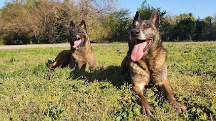 L'arche De Jessie, Pension Pour Chien à Eyguières
