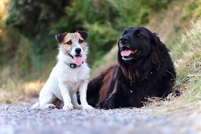 Béatitude canine, Dresseur de Chiens à Palaja