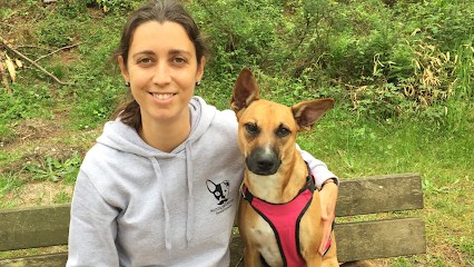 Mustache Garden, Pension pour Chiens à Saint-André-de-Seignanx