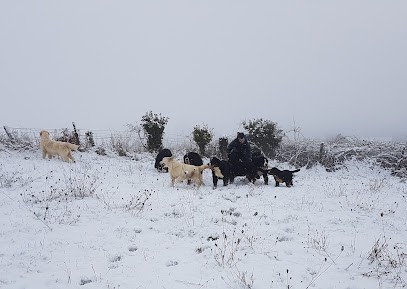 La Colline D'eole, Eleveur de Chiens à Neuvic-Entier