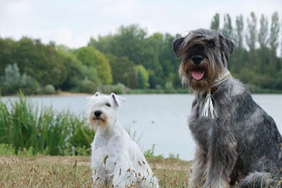 Domaine de Prescalix, Eleveur de Chiens à Magny-Cours