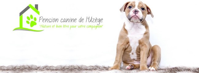 Pension Canine De L'Uzège, Pension pour Chiens à Saint-Laurent-la-Vernède