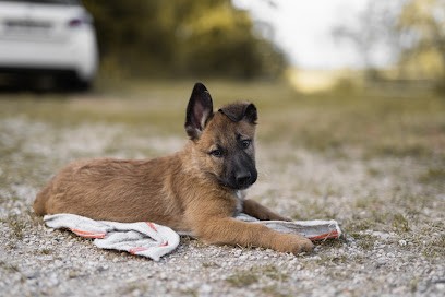 Elevage De La Croisée Des Loups, Eleveur de Chiens à Saint-Crépin-d'Auberoche