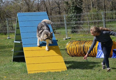 Caroline Escaffre, Dresseur de Chiens à Rodez
