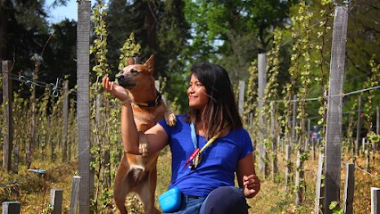 Uncianimals - Education canine et comportementaliste, Dresseur de Chiens à Villenave-d'Ornon