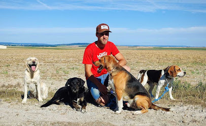 Éducateur Canin Respectdogs Reims Dresseur De Chiens à Reims