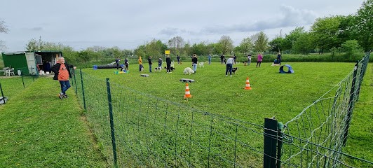 Club d'Education et d'Activités Canines de Wavrin, Dresseur de Chiens à Wavrin