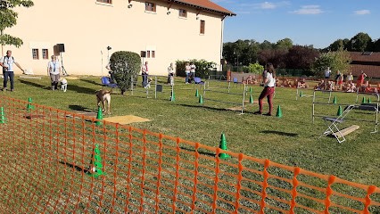 Ecole De Chiens Guides D'Aveugles De Lyon Et Du Centre Est, Dresseur de Chiens à Misérieux