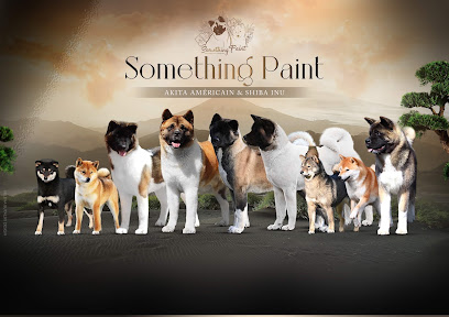 Élevage Akita Américain Et Shiba Inu Something Paint, Éleveur De Chiens à Québriac