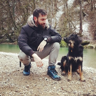 LVDog - Éducateur Dresseur canin, Dresseur de Chiens à Bellegarde-sur-Valserine