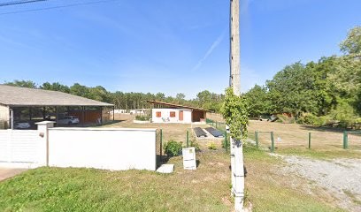 Pension Chien et Chat - Fourrière Animale - Loire 42, Pension pour Chiens à Saint-Étienne-le-Molard