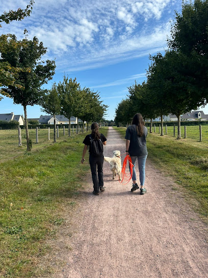 Flair De Lui Dresseur De Chiens à Caen