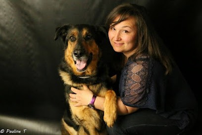 Hélios éducation canine en Vendée, comportementaliste pour chien, dresseur de chien, Dresseur de Chiens à Thorigny