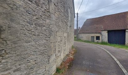 Staffie Des Roches, Eleveur de Chiens à Aignay-le-Duc