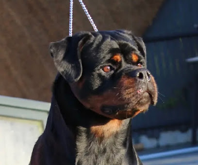 Des Gardiens Du Lagoon, Éleveur De Chiens à Boulange