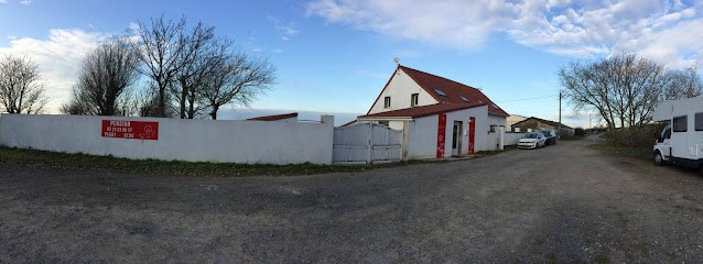 Peggy Bedu - Aux Bonheurs des Chiens - Toilettage & Pension, Pension pour Chiens à Saint-Martin-Boulogne