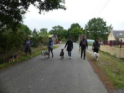 Ecole Canine De Plessé, Dresseur de Chiens à Plessé