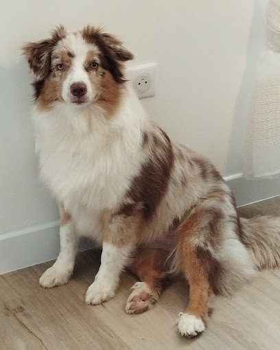 Cheun'apan, Dresseur de Chiens au Tâtre