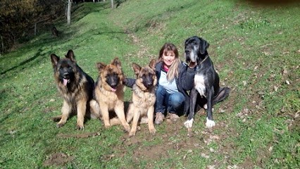 Education Passion, Dresseur de Chiens à Valfleury