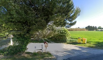 KINGDOGS, Pension pour Chiens à Velleron