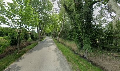 Club Canin De Mouries, Dresseur de Chiens à Mouriès