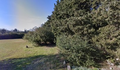 Elevage Welsh Corgi Pembroke Au Royaume de Delio, Eleveur de Chiens à Saint-Martin-de-Crau