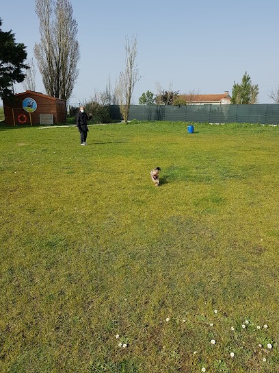 Hotel 4 Paws, Pension pour Chiens à Bretignolles-sur-Mer