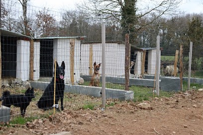 Arts Canins, Pension pour Chiens à Saint-Connec
