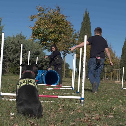 OuiDog éducateur canin comportementaliste, Dresseur de Chiens au Crès