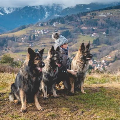 Russ'Armony - éducatrice Et Comportementaliste Canin, Dresseur de Chiens à Lauw