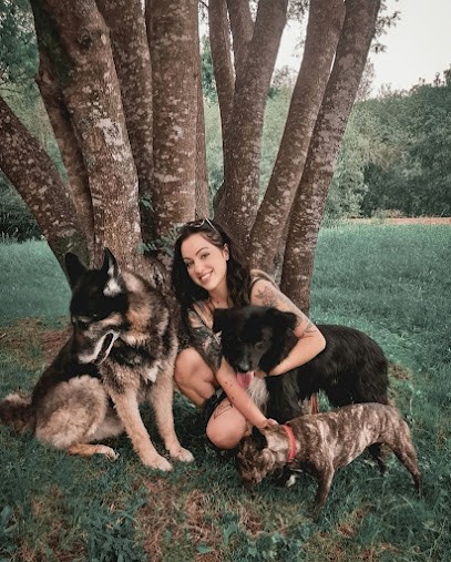 Sky Land's - Pension Pour Chiens & Visites à Domicile, Pension pour Chiens à Rivière-Saas-et-Gourby