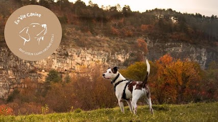 En Vie Canine Éducation canine Comportementaliste Chambéry, Dresseur de Chiens à Saint-Alban-Leysse