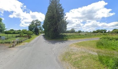 Élevage du rêve des joyaux (éleveur de Berger australien), Eleveur de Chiens à Trémouilles