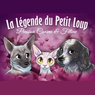 La Legende Du Petit Loup, Pension pour Chiens à Laurière