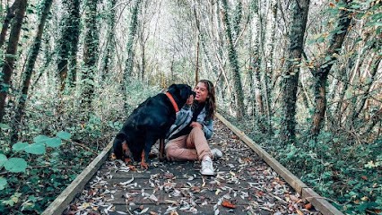 Educ D'or, Dresseur de Chiens à Nargis