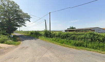 Canis Ludik, Dresseur de Chiens au Donjon