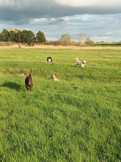 Pension Canine Familiale Au Beau Rivage, Pension pour Chiens à Soullans
