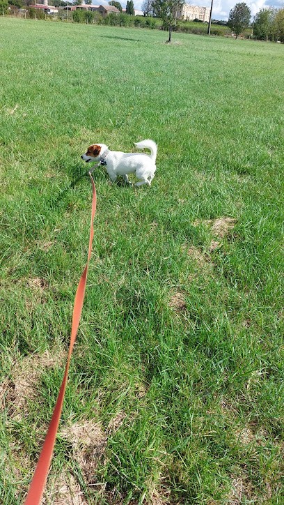 Resshy Pension, Pension pour Chiens à Prignac-et-Marcamps